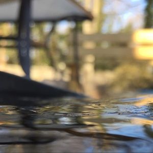 Meet your Posher, Isabel